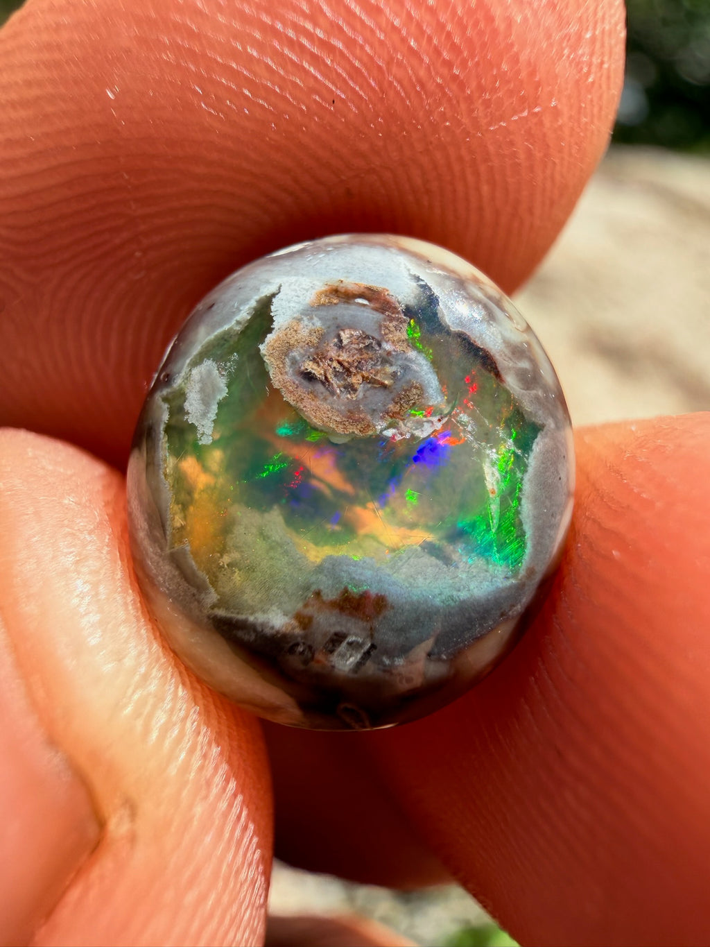 Cantera Opal 13 x 11 x 4.9 mm,
