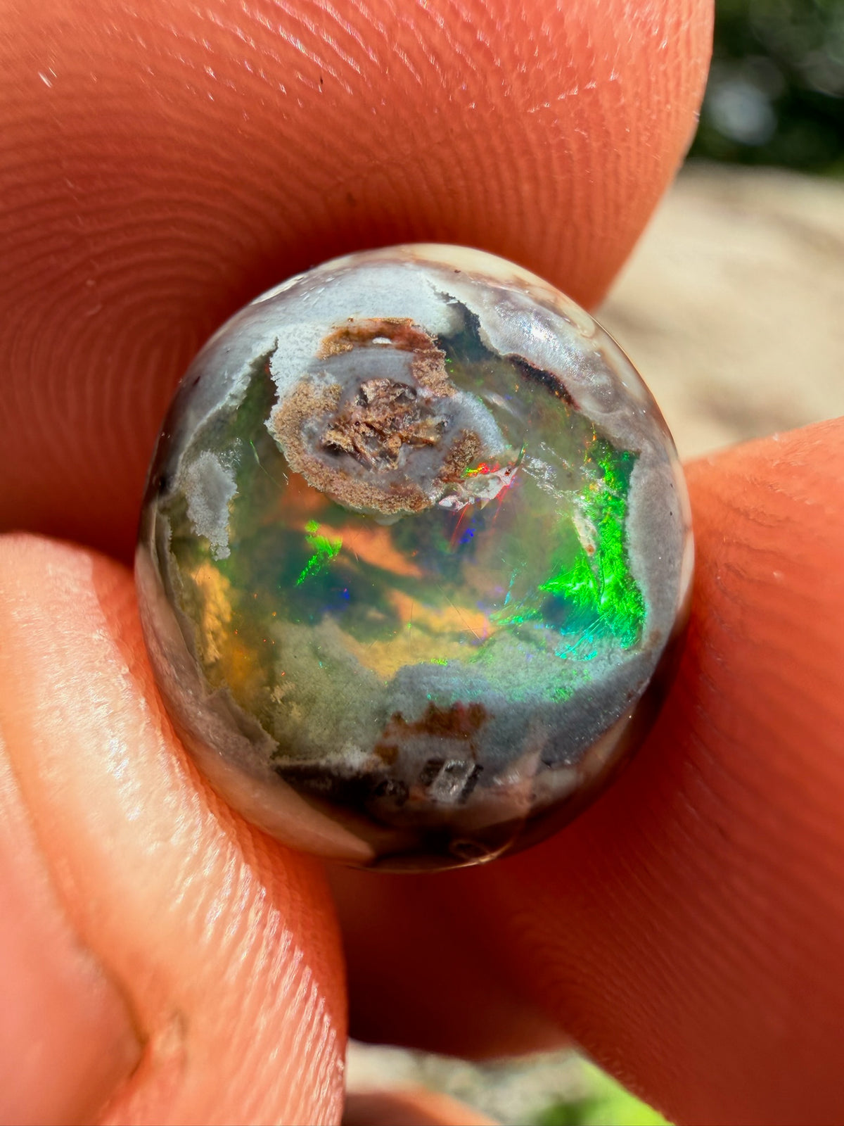 Cantera Opal 13 x 11 x 4.9 mm,