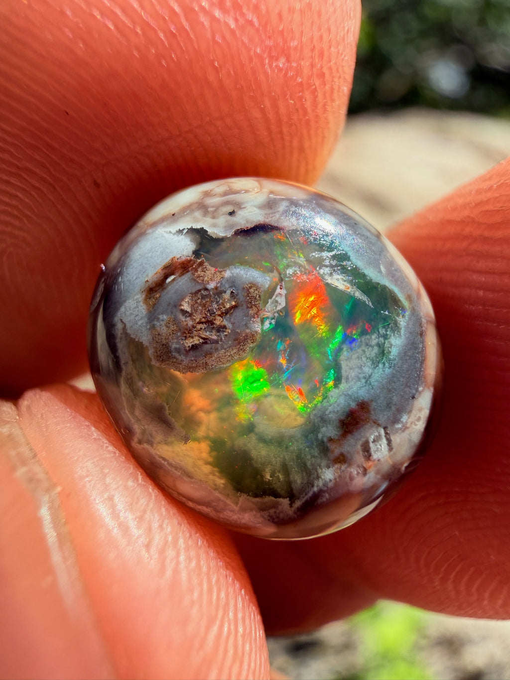 Cantera Opal 13 x 11 x 4.9 mm,
