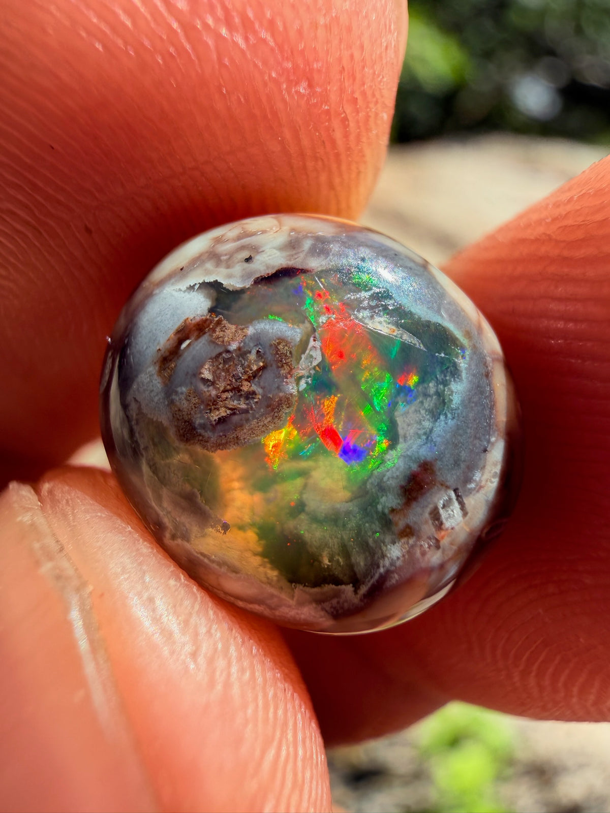 Cantera Opal 13 x 11 x 4.9 mm,