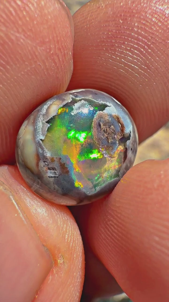 Cantera Opal 13 x 11 x 4.9 mm,